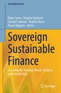 "Sovereign Sustainable Finance", blaue und gelbe Bereiche, Springer-Logo in der Ecke.