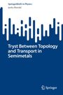 SpringerBriefs in Physics, Ipsita Mandal. Tryst Between Topology and Transport in Semimetals. Abstrakte vertikale Formen.