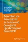Text: Adsorption von Kohlendioxid an Gestein und geologische Speicherung von Kohlenstoff. Autoren: Jinsheng Wang, Hanin Samara, Philip Jaeger. Hintergrund: Blau-grün verpixeltes Muster, orange Fläche. Logo: Springer Vieweg.