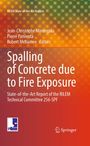 "Spalling of Concrete due to Fire Exposure" oben, Autoren: Jean-Christophe Mindeguia, Pierre Pimienta, Robert McNamee. Unten zwei Logos.