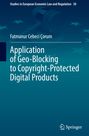 Titel: "Application of Geo-Blocking to Copyright-Protected Digital Products". Hintergrund: Richterhammer, Sterne.