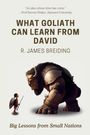 R. James Breiding: What Goliath can learn from David, Buch