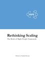 "Rethinking Scaling", "The Book of Right People Framework", "Written by Vladimir Riecicky", blaues Logo mit Kreisen.