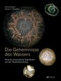 Bernd Kröplin: Die Geheimnisse des Wassers, Buch