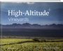 „High-Altitude Vineyards“. Inspiriert von Larissa und Christoph Ehrbar. Landschaft mit Weinbergen und Bergen im Hintergrund.