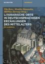 : Literarische Orte in deutschsprachigen Erzählungen des Mittelalters, Buch