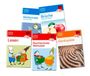 Mathematik, Brüche, Lesen, Rechtschreib-Werkstatt, Denkspiele. Fünf Lernhefte mit bunten Covern und Illustrationen.
