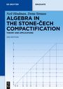 Neil Hindman: Algebra in the Stone-Cech Compactification, Buch