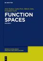 Lubos Pick: Function Spaces, 2, Buch