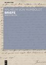 : Briefe Juli 1795 bis Juni 1797, Buch