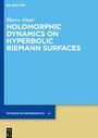 Marco Abate: Holomorphic Dynamics on Hyperbolic Riemann Surfaces, Buch