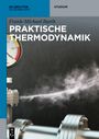 Frank-Michael Barth: Praktische Thermodynamik, Buch