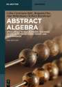 : Abstract Algebra, Buch