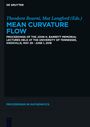 : Mean Curvature Flow, Buch