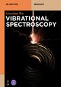 Guozhen Wu: Vibrational Spectroscopy, Buch