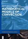 : Mathematical Models of Convection, Buch