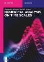 Svetlin G. Georgiev: Numerical Analysis on Time Scales, Buch