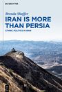 Brenda Shaffer: Iran is More Than Persia, Buch