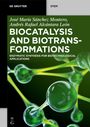 José María Sánchez Montero: Biocatalysis and Biotransformations, Buch