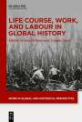 : Life Course, Work, and Labour in Global History, Buch