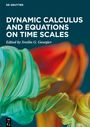 : Dynamic Calculus and Equations on Time Scales, Buch