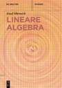 Josef Hörwick: Lineare Algebra, Buch