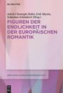 : Figuren der Endlichkeit in der Europäischen Romantik, Buch