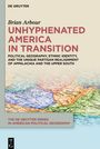 Brian Arbour: Unhyphenated America in Transition, Buch