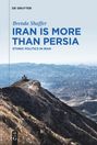 Brenda Shaffer: Iran is More Than Persia, Buch