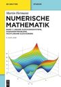 Martin Hermann: Numerische Mathematik, Buch