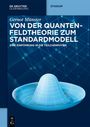 Buchtitel: "Von der Quantenfeldtheorie zum Standardmodell". Illustration: schematische blaue 3D-Struktur.