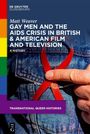 Matt Weaver: Gay Men and the AIDS Crisis in British & American Film and Television, Buch
