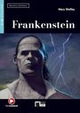 Mary Shelley: Frankenstein, Buch