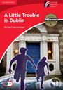 Richard MacAndrew: A Little Trouble in Dublin, Buch