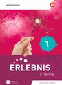 „ERLEBNIS Chemie“, „Baden-Württemberg“. Eine Hand hält eine Wunderkerze vor pinkem Feuerwerk.