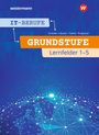 Klaus Ringhand: IT-Berufe. Schülerband. Grundstufe 1. Jahr. Lernfelder 1-5, Buch