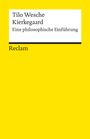 Tilo Wesche: Kierkegaard, Buch