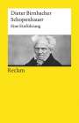Dieter Birnbacher: Schopenhauer, Buch