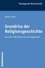 Peter Antes: Grundriss der Religionsgeschichte, Buch