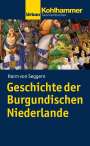 Harm von Seggern: Geschichte der Burgundischen Niederlande, Buch
