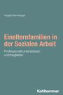 Angela Wernberger: Einelternfamilien in der Sozialen Arbeit, Buch