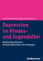 : Depression im Kindes- und Jugendalter, Buch