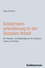 Gaby Reinhard: Sozialraumorientierung in der Sozialen Arbeit, Buch