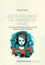 Stephan Dreyer: Gesetzlicher Kinder- und Jugendmedienschutz, Buch
