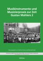 : Musikinstrumente und Musizierpraxis zur Zeit Gustav Mahlers 2, Buch