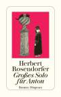 Herbert Rosendorfer: Großes Solo für Anton, Buch