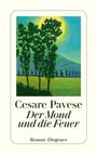 Cesare Pavese: Der Mond und die Feuer, Buch