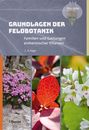 Rita Lüder: Grundlagen der Feldbotanik, Buch