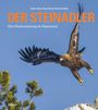 David Jenny: Der Steinadler, Buch