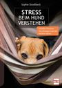 Text: "Sophie Strodtbeck, STRESS BEIM HUND VERSTEHEN. Verhalten einordnen, Neurobiologie anwenden, Resilienz stärken." Ein Hund schaut aus einer Hängematte hervor.